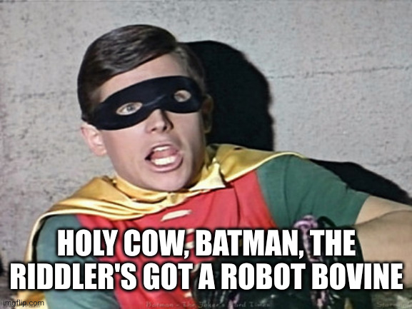 batman robin holy burt ward | HOLY COW, BATMAN, THE RIDDLER'S GOT A ROBOT BOVINE | image tagged in batman robin holy burt ward | made w/ Imgflip meme maker