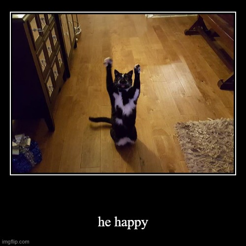 he happy | image tagged in funny,demotivationals | made w/ Imgflip demotivational maker