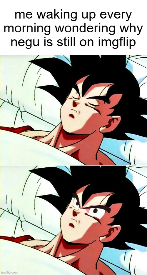 I'm unbanned btw | me waking up every morning wondering why negu is still on imgflip | image tagged in goku sleeping wake up | made w/ Imgflip meme maker