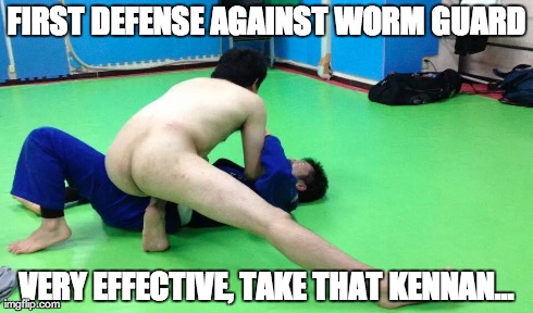 FIRST DEFENSE AGAINST WORM GUARD VERY EFFECTIVE, TAKE THAT KENNAN... | made w/ Imgflip meme maker