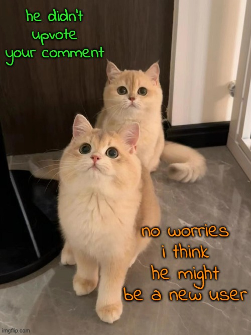 he didn't upvote your comment no worries
i think he might be a new user | made w/ Imgflip meme maker