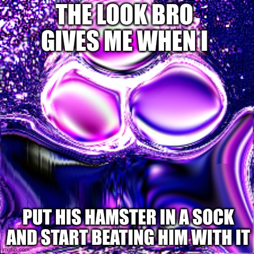 hhhhhhhhhhhhhhhhhhhhhhhhhhhh | THE LOOK BRO GIVES ME WHEN I; PUT HIS HAMSTER IN A SOCK AND START BEATING HIM WITH IT | image tagged in funny | made w/ Imgflip meme maker