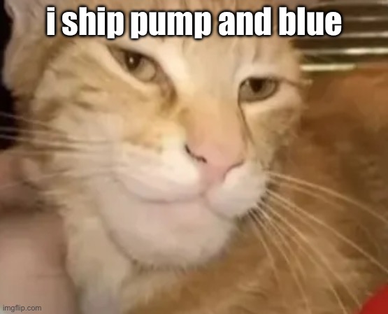 cat mewing | i ship pump and blue | image tagged in cat mewing | made w/ Imgflip meme maker