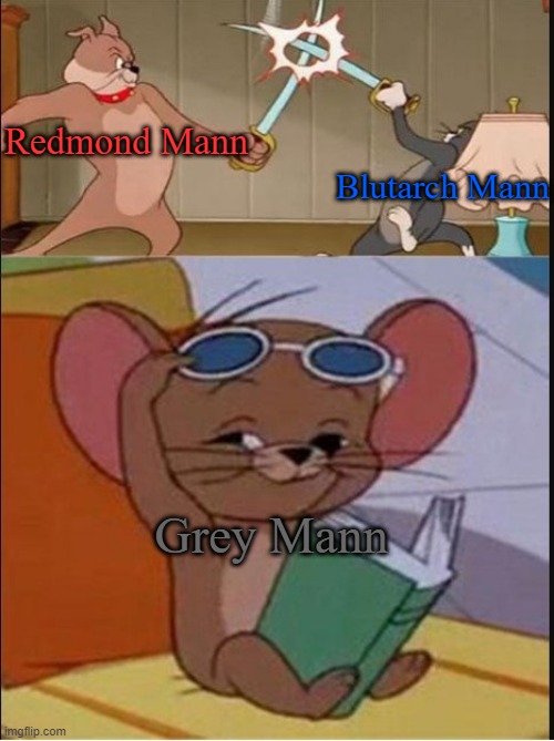 Grey Mann watching his idiot brothers kill each other | Redmond Mann; Blutarch Mann; Grey Mann | image tagged in tom and spike fighting,tf2,team fortress 2 | made w/ Imgflip meme maker