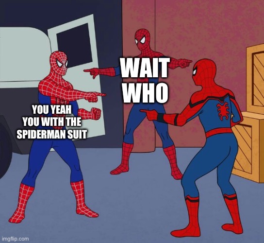 Spider Man Triple | WAIT WHO; YOU YEAH YOU WITH THE SPIDERMAN SUIT | image tagged in spider man triple | made w/ Imgflip meme maker