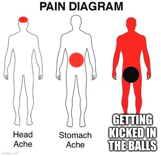 True | GETTING KICKED IN THE BALLS | image tagged in pain diagram | made w/ Imgflip meme maker