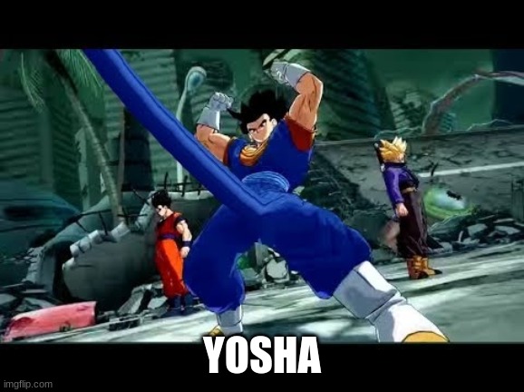 Yosha Boner | YOSHA | image tagged in yosha boner | made w/ Imgflip meme maker