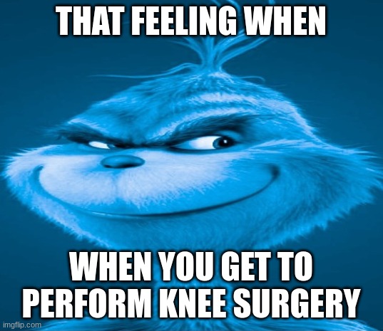 I'll make it just right >:) | THAT FEELING WHEN; WHEN YOU GET TO PERFORM KNEE SURGERY | image tagged in blue grinch | made w/ Imgflip meme maker