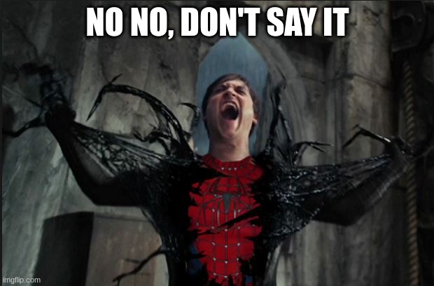 Spider Man Becoming Venom | NO NO, DON'T SAY IT | image tagged in spider man becoming venom | made w/ Imgflip meme maker