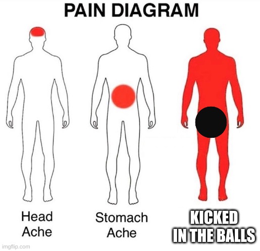 the black dot means INTENSE pain | KICKED IN THE BALLS | image tagged in pain diagram | made w/ Imgflip meme maker