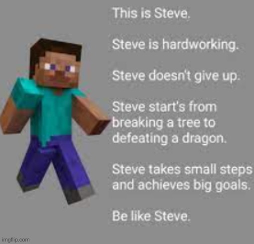 steve | image tagged in minecraft steve,meme | made w/ Imgflip meme maker