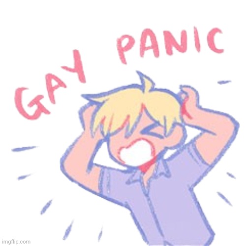 Gay panic | image tagged in gay panic | made w/ Imgflip meme maker