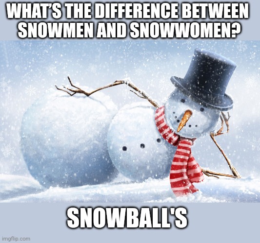 BUT THEY ARE MADE OUT OF SNOWBALL'S | WHAT’S THE DIFFERENCE BETWEEN 
SNOWMEN AND SNOWWOMEN? SNOWBALL'S | image tagged in snowman,frosty the snowman,eyeroll,dad joke | made w/ Imgflip meme maker