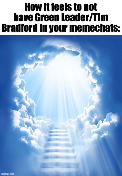 Absolute heaven | How it feels to not have Green Leader/TIm Bradford in your memechats: | image tagged in heaven | made w/ Imgflip meme maker