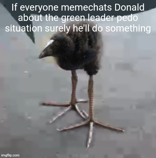 Wah wah wah wah wah wah wah wah | If everyone memechats Donald about the green leader pedo situation surely he'll do something | image tagged in wah wah wah wah wah wah wah wah | made w/ Imgflip meme maker