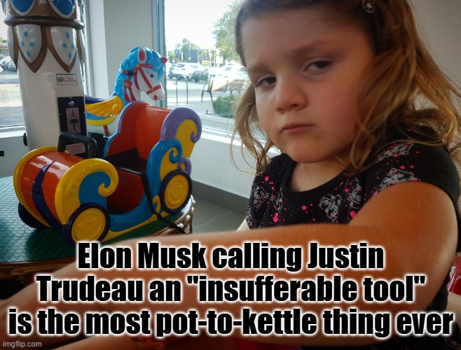 Insufferable tool | Elon Musk calling Justin Trudeau an "insufferable tool" is the most pot-to-kettle thing ever | image tagged in not impressed,insufferable tool,elon musk smoking a joint,trudeau,hypocrites,pot to kettle | made w/ Imgflip meme maker