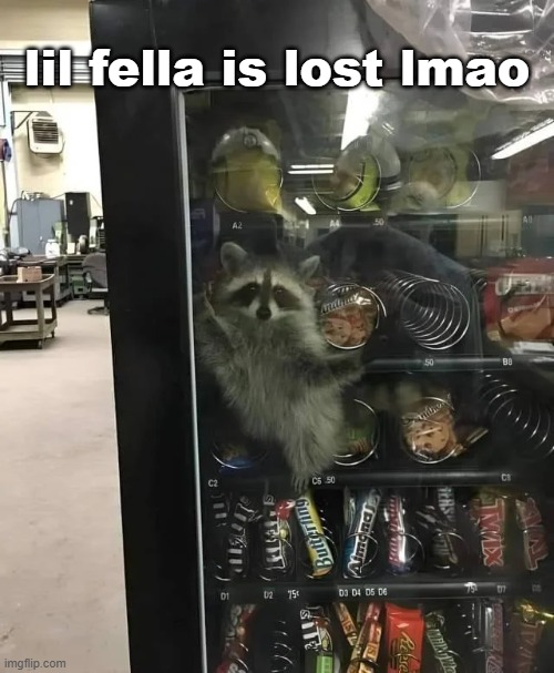 lil fella is lost lmao | made w/ Imgflip meme maker