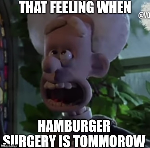 Áááááámen! | THAT FEELING WHEN; HAMBURGER SURGERY IS TOMMOROW | made w/ Imgflip meme maker