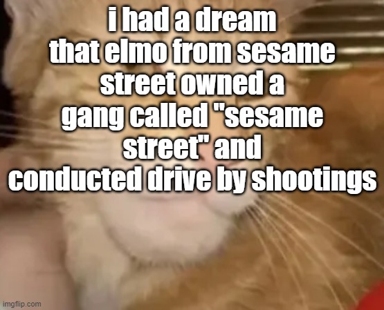 "thats how sesame street works" | i had a dream that elmo from sesame street owned a gang called "sesame street" and conducted drive by shootings | image tagged in cat mewing | made w/ Imgflip meme maker