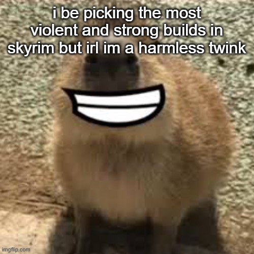 goofy ass capybara | i be picking the most violent and strong builds in skyrim but irl im a harmless twink | image tagged in goofy ass capybara | made w/ Imgflip meme maker