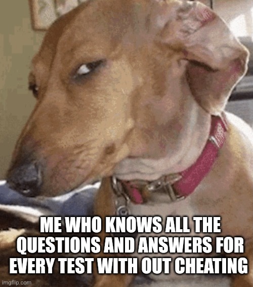 Side eye dog | ME WHO KNOWS ALL THE QUESTIONS AND ANSWERS FOR EVERY TEST WITH OUT CHEATING | image tagged in side eye dog | made w/ Imgflip meme maker