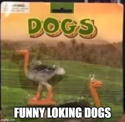 Dogs? | FUNNY LOKING DOGS | image tagged in you had one job | made w/ Imgflip meme maker