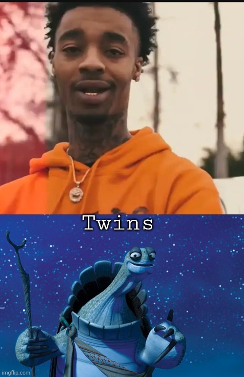 Twins | image tagged in master oogway | made w/ Imgflip meme maker