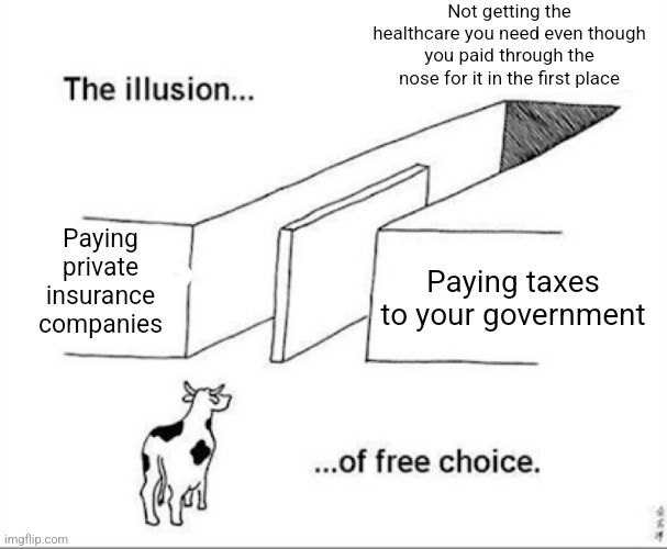 In America, the healthcare situation is very poor | Not getting the healthcare you need even though you paid through the nose for it in the first place; Paying private insurance companies; Paying taxes to your government | image tagged in illusion of free choice,healthcare,taxes,health insurance,government,scam | made w/ Imgflip meme maker