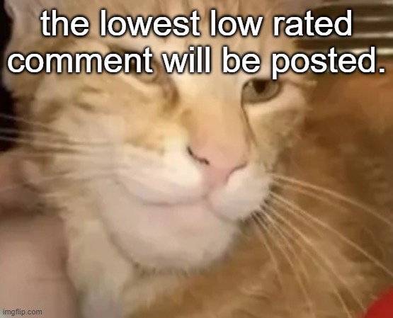 no breaking rules tho | the lowest low rated comment will be posted. | image tagged in cat mewing | made w/ Imgflip meme maker