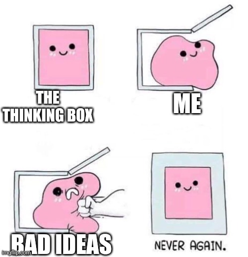 Never again | THE THINKING BOX ME BAD IDEAS | image tagged in never again | made w/ Imgflip meme maker