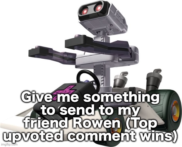 R.O.B. Mario Kart DS | Give me something to send to my friend Rowen (Top upvoted comment wins) | image tagged in r o b mario kart ds | made w/ Imgflip meme maker