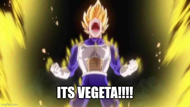 vegeta | ITS VEGETA!!!! | image tagged in vegeta | made w/ Imgflip meme maker