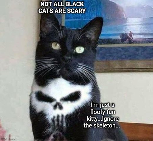 Good Kitty (⁠•⁠‿⁠•⁠) | NOT ALL BLACK CATS ARE SCARY; I'm just a floofy fun kitty...Ignore the skeleton... | image tagged in punisher cat,oh no black cat | made w/ Imgflip meme maker