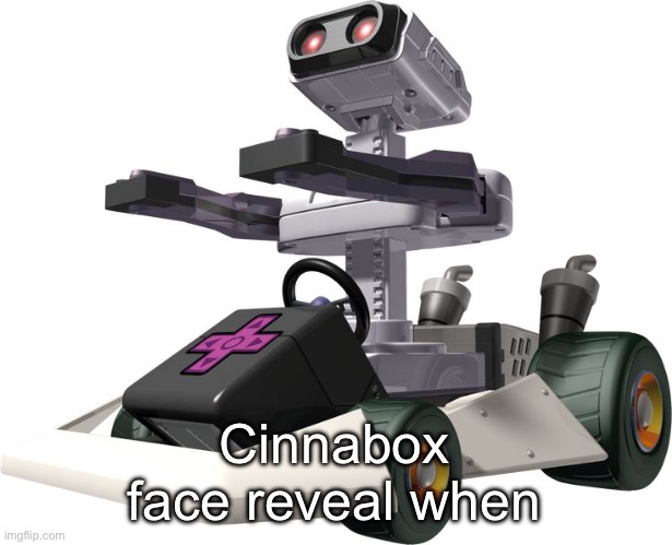 R.O.B. Mario Kart DS | Cinnabox face reveal when | image tagged in r o b mario kart ds | made w/ Imgflip meme maker