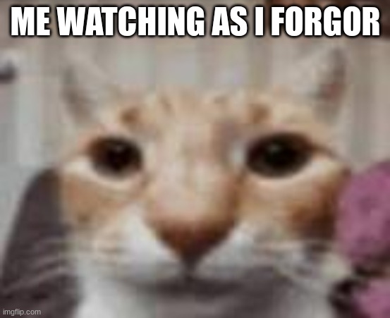 :| | ME WATCHING AS I FORGOR | made w/ Imgflip meme maker
