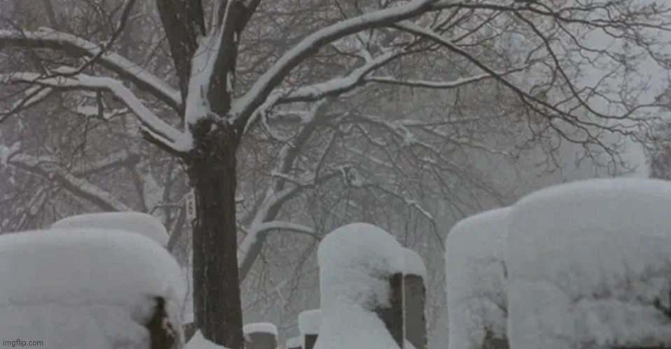 Wintertime In the Cemetery. | image tagged in death,snow,winter,wintertime,cemetery,graveyard | made w/ Imgflip meme maker