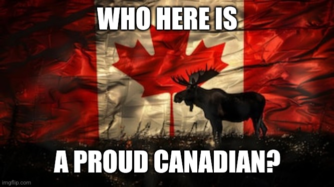 Anybody here a proud Canadian? | WHO HERE IS; A PROUD CANADIAN? | image tagged in canada | made w/ Imgflip meme maker