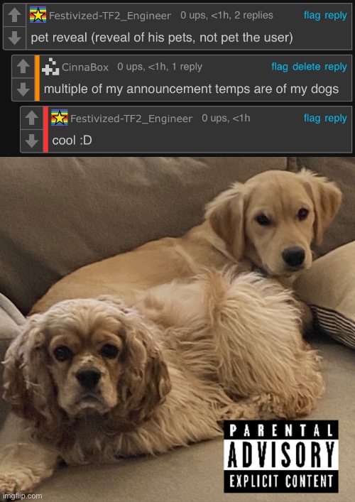 literally three of my announcement templates are of my dogs but here you all go I guess | image tagged in gnocchi and henry s first studio album | made w/ Imgflip meme maker