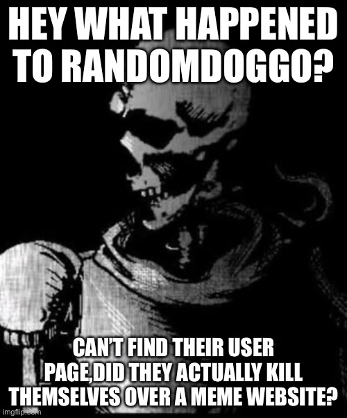 Papyrus is done | HEY WHAT HAPPENED TO RANDOMDOGGO? CAN’T FIND THEIR USER PAGE,DID THEY ACTUALLY KILL THEMSELVES OVER A MEME WEBSITE? | image tagged in papyrus is done | made w/ Imgflip meme maker