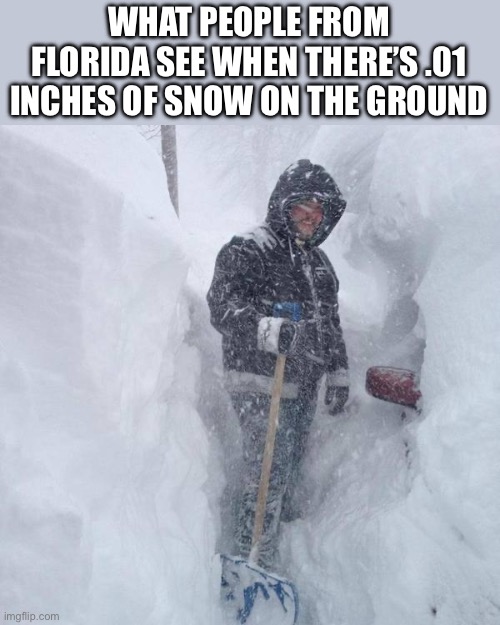 Yup | WHAT PEOPLE FROM FLORIDA SEE WHEN THERE’S .01 INCHES OF SNOW ON THE GROUND | image tagged in snow,womp womp,memes,florida,floridians | made w/ Imgflip meme maker