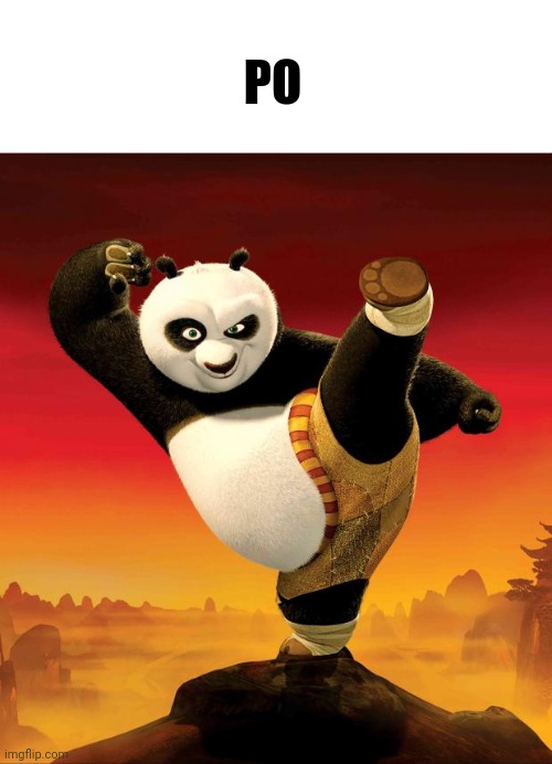 kung fu panda | PO | image tagged in kung fu panda | made w/ Imgflip meme maker