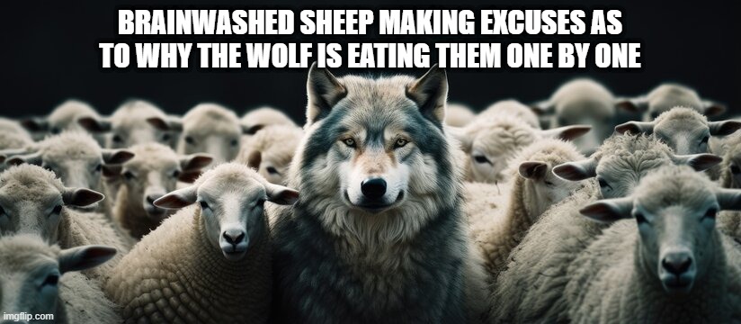 BRAINWASHED SHEEP MAKING EXCUSES AS TO WHY THE WOLF IS EATING THEM ONE BY ONE | image tagged in sheep | made w/ Imgflip meme maker