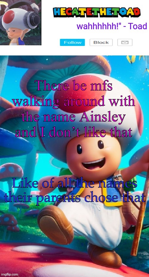 Hecate’s toad announcement temp | There be mfs walking around with the name Ainsley and I don’t like that; Like of all the names their parents chose that | image tagged in hecate s toad announcement temp | made w/ Imgflip meme maker