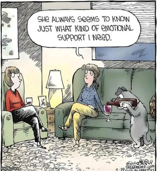 They know how to support | image tagged in repost,support animals | made w/ Imgflip meme maker