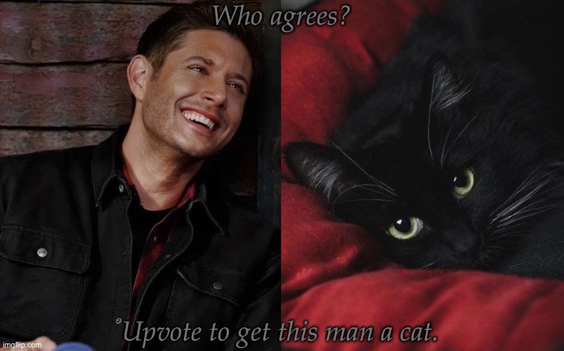 Upvote To Get This Man A Cat | Who agrees? Upvote to get this man a cat. | image tagged in dean deserves a kitty,but sammy wont let him,upvote if you agree,dean winchester,jensen ackles,supernatural | made w/ Imgflip meme maker