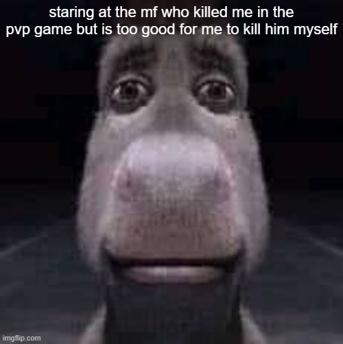 i love pvp games | staring at the mf who killed me in the pvp game but is too good for me to kill him myself | image tagged in donkey staring,pvp,pain | made w/ Imgflip meme maker