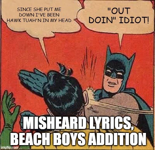 Misheard Lyric- Help Me Rhonda | SINCE SHE PUT ME DOWN I'VE BEEN HAWK TUAH'N IN MY HEAD; "OUT DOIN" IDIOT! MISHEARD LYRICS, BEACH BOYS ADDITION | image tagged in memes,batman slapping robin | made w/ Imgflip meme maker