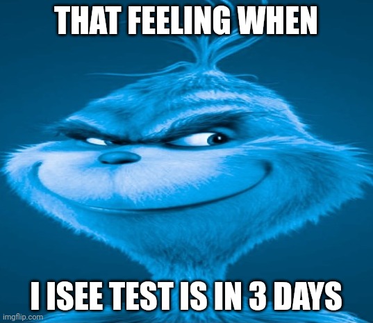 ISEE on Saturday I'm so nervous | THAT FEELING WHEN; I ISEE TEST IS IN 3 DAYS | image tagged in blue grinch | made w/ Imgflip meme maker