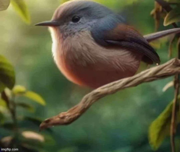 Why didn't YCI stay in imgflip so he can be considered an OG? Is he stupid? | Imgflip Forgot | image tagged in cool ass bird photo | made w/ Imgflip meme maker