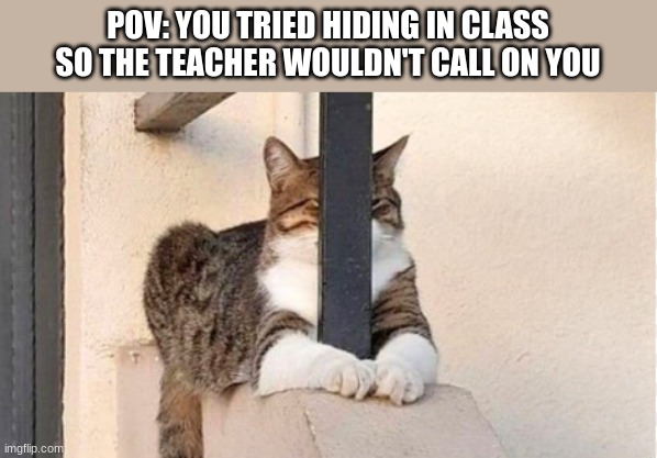 Hiding | POV: YOU TRIED HIDING IN CLASS SO THE TEACHER WOULDN'T CALL ON YOU | image tagged in hiding | made w/ Imgflip meme maker